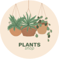 plants.searchenginemonks.com
